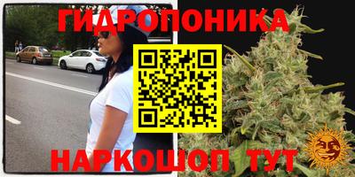 синтетический гашиш Будённовск