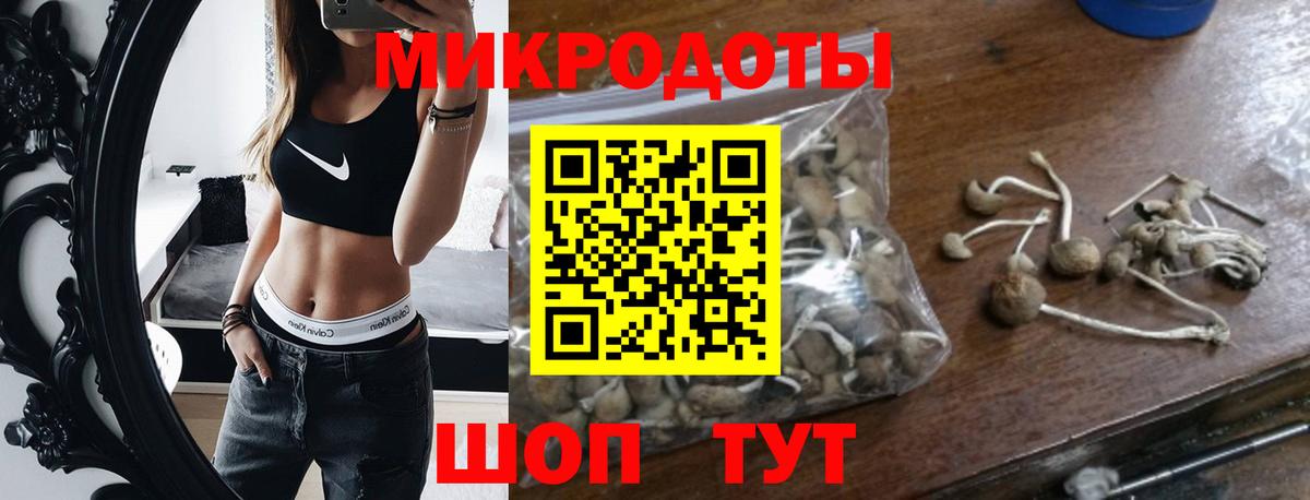сколько стоит  Галлюциногенные грибы мухоморы  Псилоцибиновые грибы Cubensis  Вход с VPN  Набережные Челны 